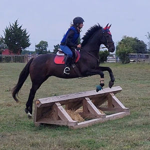 Meet your Posher, Libby